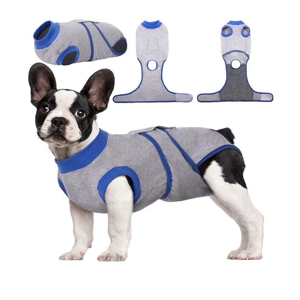 Dogs Cats After Surgery‎ Pet Recovery Shirt Abdominal Wounds Substitute E-Collar